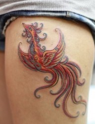 女性纹身图片：腿部彩色凤凰纹身图案