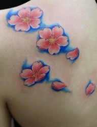 女性纹身图片：肩部彩色樱花纹身图案