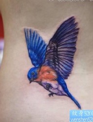 女性纹身图片：腰部彩色小鸟喜鹊纹身图案
