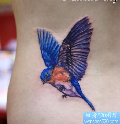 点击大图看下一张：女性纹身图片：腰部彩色小鸟喜鹊纹身图案