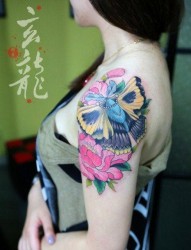 美女手臂漂亮前卫的彩色蝴蝶纹身图片