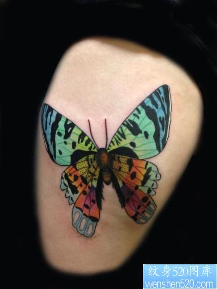 点击大图看下一张：一张漂亮好看的彩色蝴蝶纹身图片