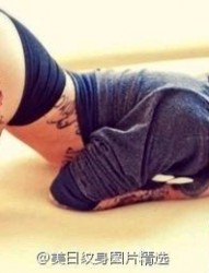 一幅女人腿部彩色纹身作品