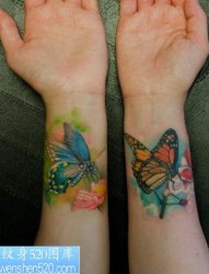 手腕彩色蝴蝶纹身图案图案