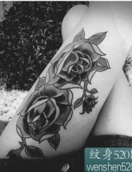 一组娇艳迷人的玫瑰花刺青套图，值得一纹