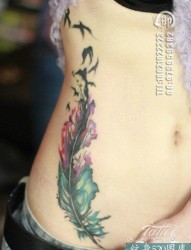 女性侧腰彩色羽化燕纹身图案