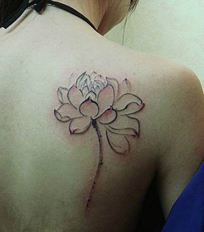 点击大图看下一张：精美的荷花知性美图6