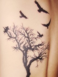 男人背部枯树小鸟漂亮刺青