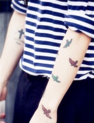 男人手臂彩色鸽子漂亮意境刺青