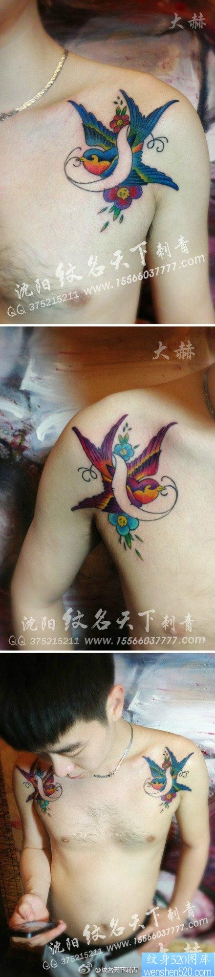 点击大图看下一张：男性肩膀处漂亮流行的小燕子纹身图片