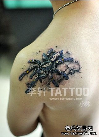 点击大图看下一张：男性肩背超酷的蜘蛛纹身图片