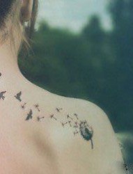 女孩子肩膀处流行的蒲公英纹身图片