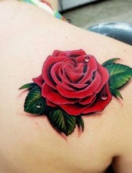 肩部一朵妖艳的玫瑰纹身