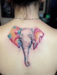 女生背部多彩大象纹身