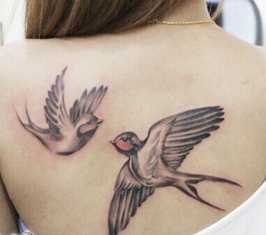 点击大图看下一张：时尚唯美的肩部燕子刺青