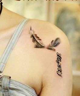 点击大图看下一张:漂亮时尚的肩部羽毛刺青图4