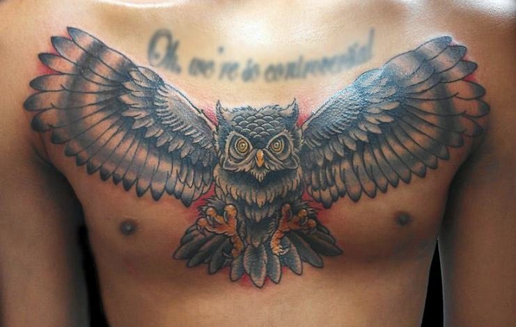 点击大图看下一张：胸部大气的猫头鹰纹身