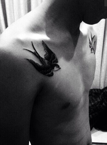 点击大图看下一张：时尚人士的胸部双燕纹身图3