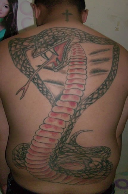 点击大图看下一张：超级个性的蛇刺青