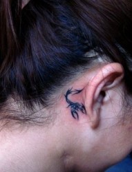 头部纹身图片：头部图腾蝎子纹身图片纹身作品