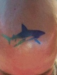 头部纹身图片：图标彩色图腾鲨鱼纹身图片纹身作品