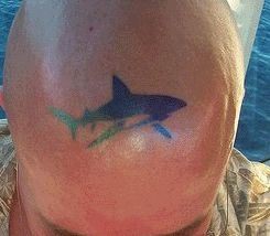 点击大图看下一张：头部纹身图片：图标彩色图腾鲨鱼纹身图片纹身作品
