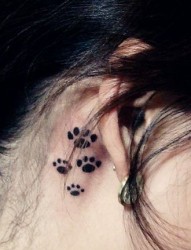 耳部猫咪爪纹身图片