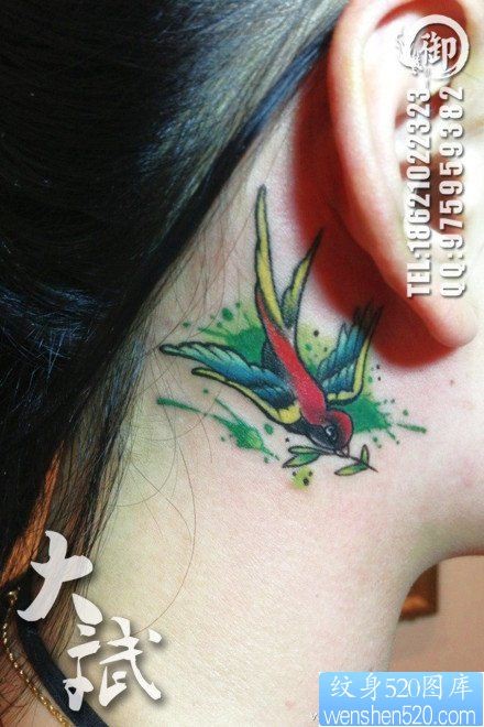 点击大图看下一张：女人耳部漂亮的彩色小燕子纹身图片