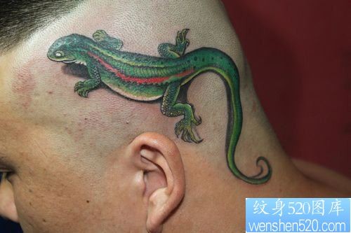点击大图看下一张:头部一幅彩色蜥蜴纹身图片