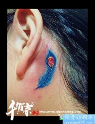 女人耳部小巧的一幅彩色羽毛纹身图片