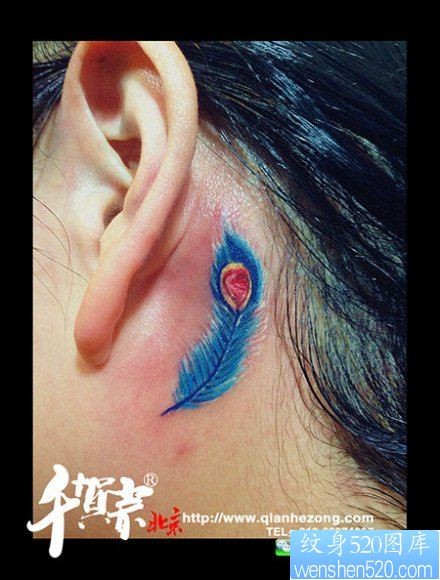 点击大图看下一张：女人耳部小巧的一幅彩色羽毛纹身图片