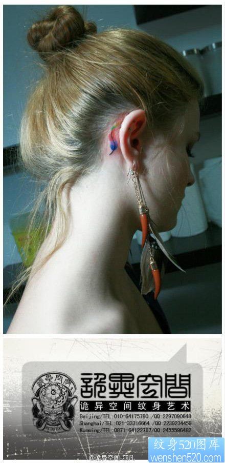 点击大图看下一张：女人耳部时尚小巧的羽毛纹身图片