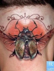 一款头部昆虫纹身图案