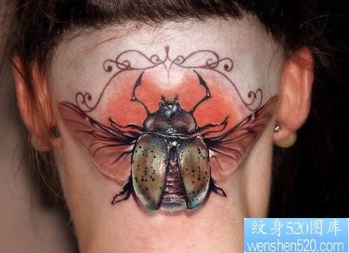 点击大图看下一张：一款头部昆虫纹身图案