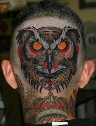 男人头部一幅经典帅气的猫头鹰纹身图片