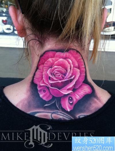 点击大图看下一张：纹身520图库：美女后颈部漂亮的玫瑰花文身图片作品