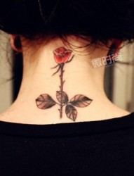 美女颈部一枝玫瑰纹身图