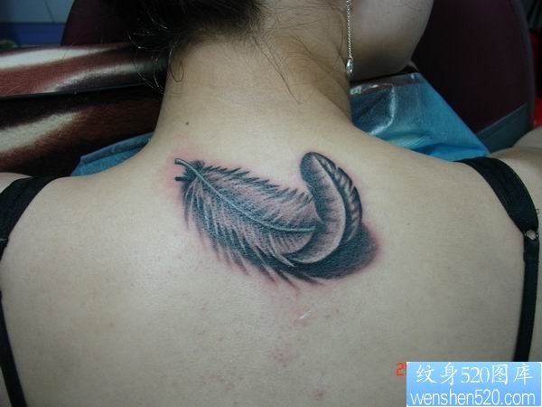 点击大图看下一张：女人脖子羽毛纹身图片