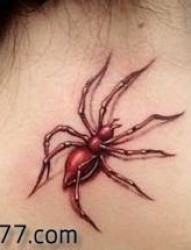经典的颈部蜘蛛纹身图片