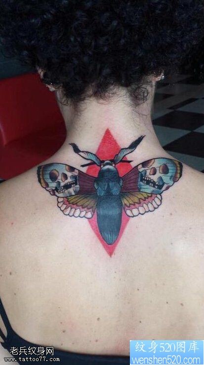 点击大图看下一张：女性脖子彩色骷髅蛾子纹身图案
