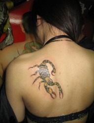 个性女孩肩部蝎子纹身图片