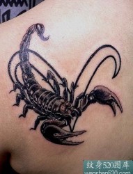 后肩部的黑色大蝎子纹身图案欣赏