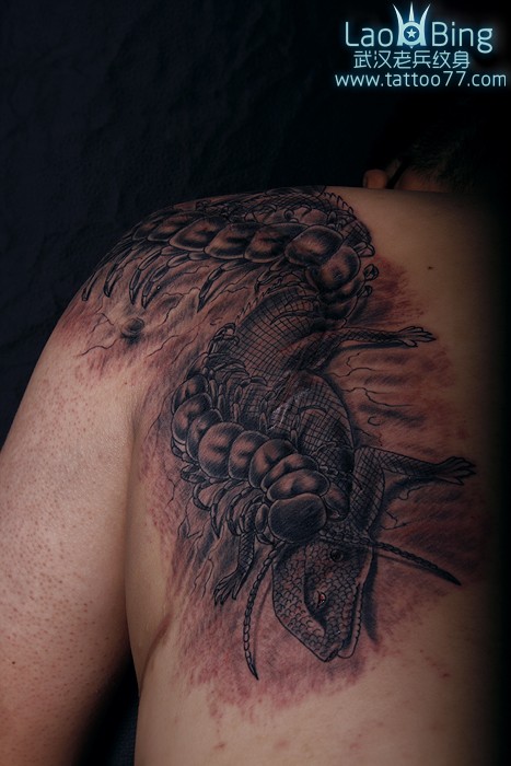 点击大图看下一张：纹身图库肩部蜈蚣纹身图案