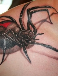 专业纹身会所：肩膀超酷蜘蛛文身图片作品