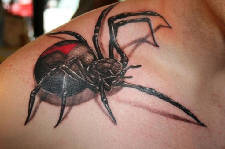 点击大图看下一张：专业纹身会所：肩膀超酷蜘蛛文身图片作品