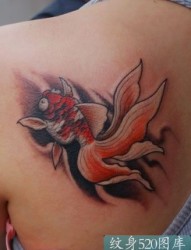 漂亮后肩部的红色金鱼纹身