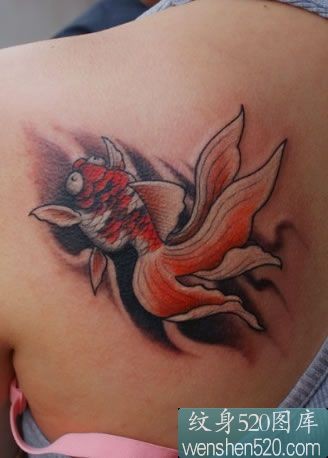 点击大图看下一张：漂亮后肩部的红色金鱼纹身
