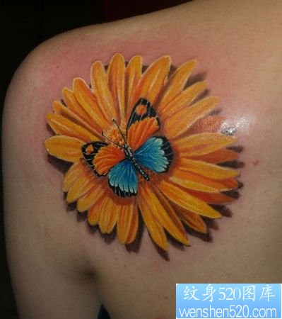点击大图看下一张:美女肩部彩色菊花蝴蝶纹身
