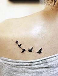 肩部纹身图片：肩部图腾小鸟纹身图片纹身作品