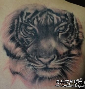 点击大图看下一张:肩部老虎虎头纹身